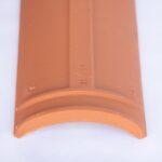 רוכב לרעפים